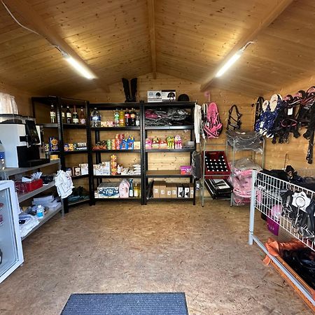 Fewo Im Reit- Und Ponyparadies Roos Halle  Exteriör bild