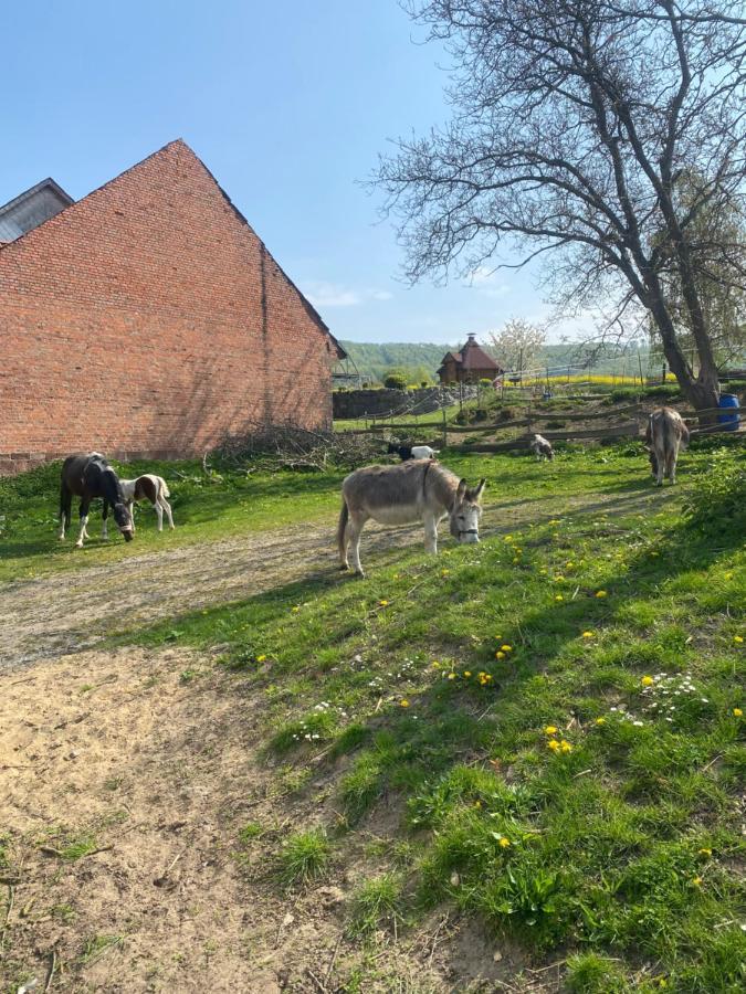 Fewo Im Reit- Und Ponyparadies Roos Halle  Exteriör bild