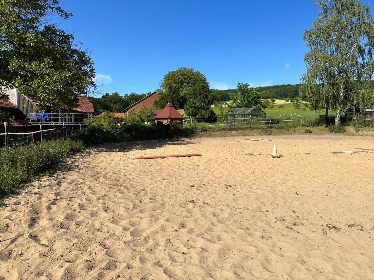 Fewo Im Reit- Und Ponyparadies Roos Halle  Exteriör bild