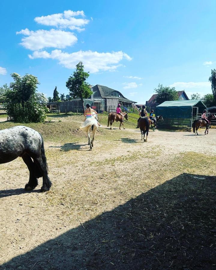 Fewo Im Reit- Und Ponyparadies Roos Halle  Exteriör bild