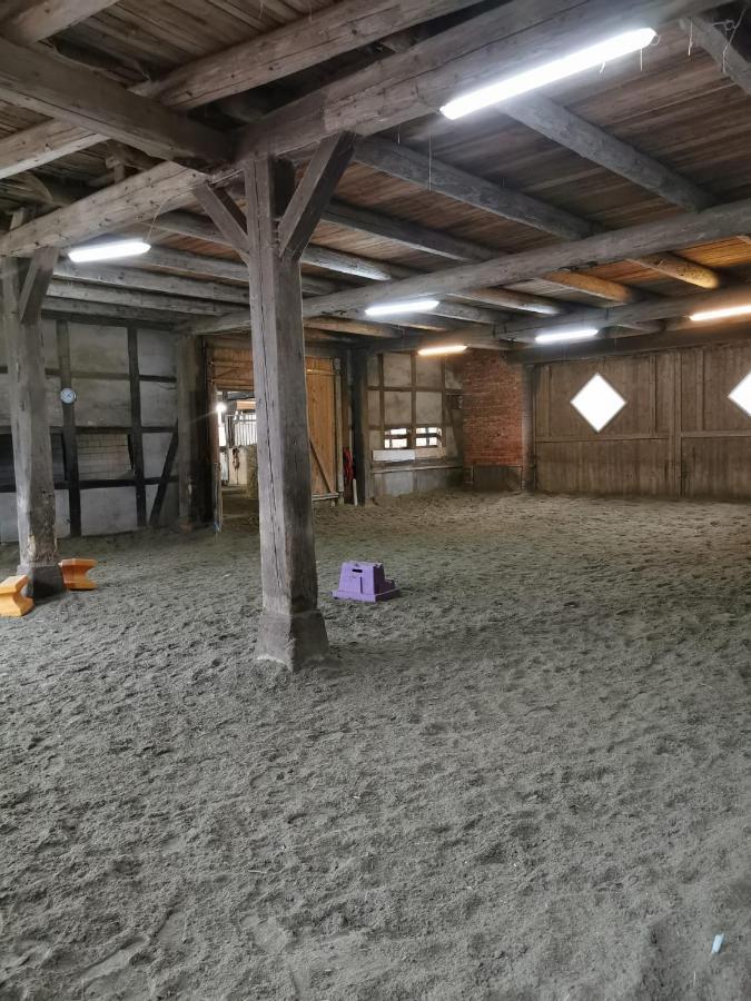 Fewo Im Reit- Und Ponyparadies Roos Halle  Exteriör bild