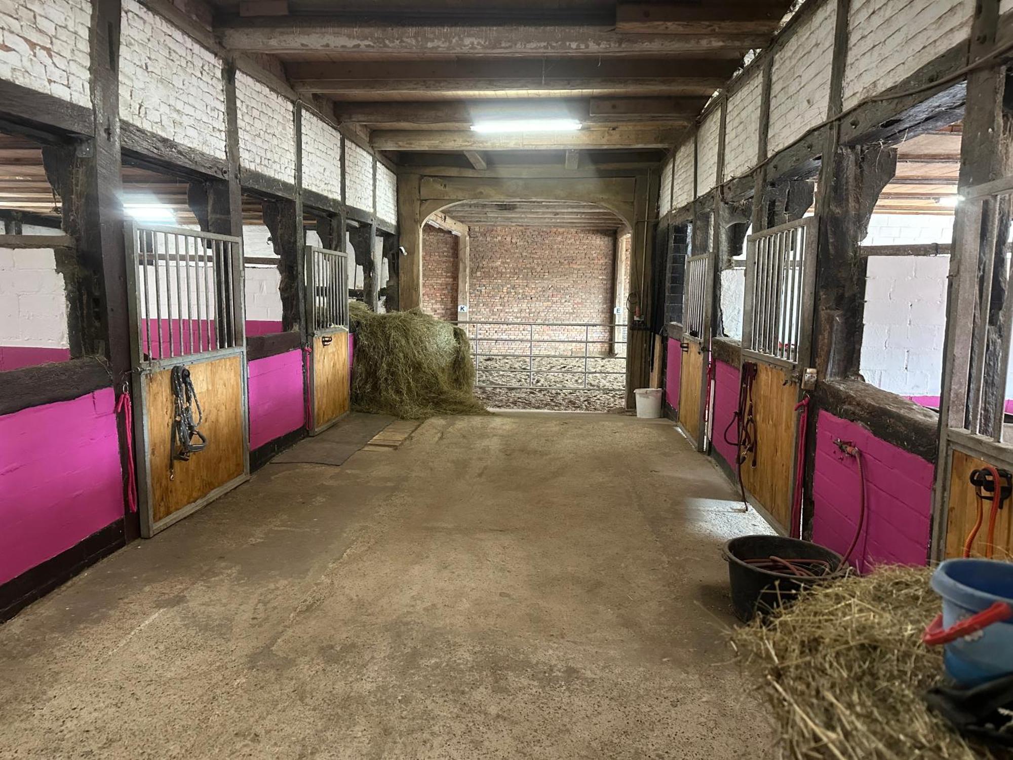 Fewo Im Reit- Und Ponyparadies Roos Halle  Exteriör bild