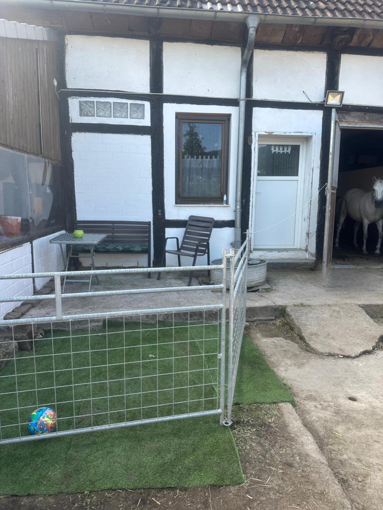 Fewo Im Reit- Und Ponyparadies Roos Halle  Exteriör bild