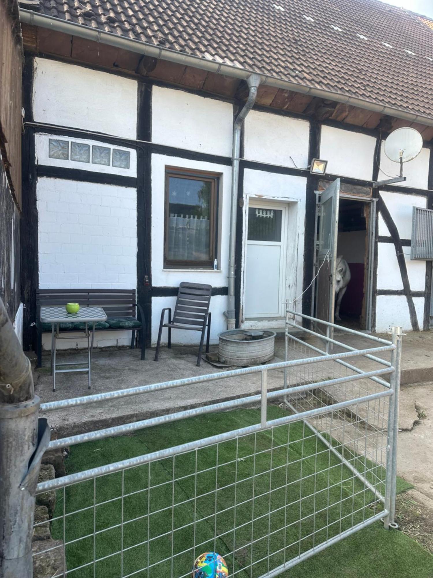 Fewo Im Reit- Und Ponyparadies Roos Halle  Exteriör bild